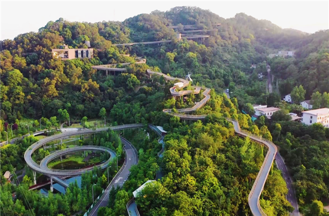 9001DCC金沙集团荣获两项国家级协会工程建设科学技术奖！