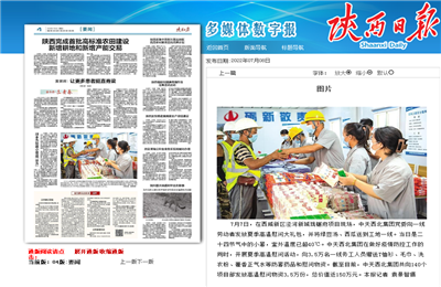 9001DCC金沙西北集团珑樾府项目高温慰问——《陕西日报》